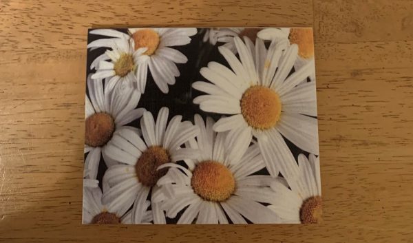 Daisy cards