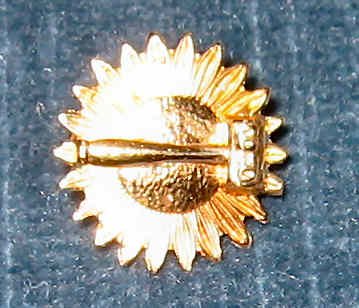 Official reciprocity chair's pin - solid 14K gold gavel on marguerite.