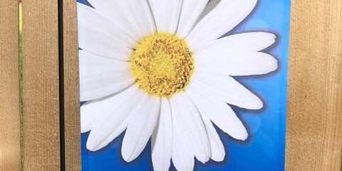 FL-OK Garden Flag