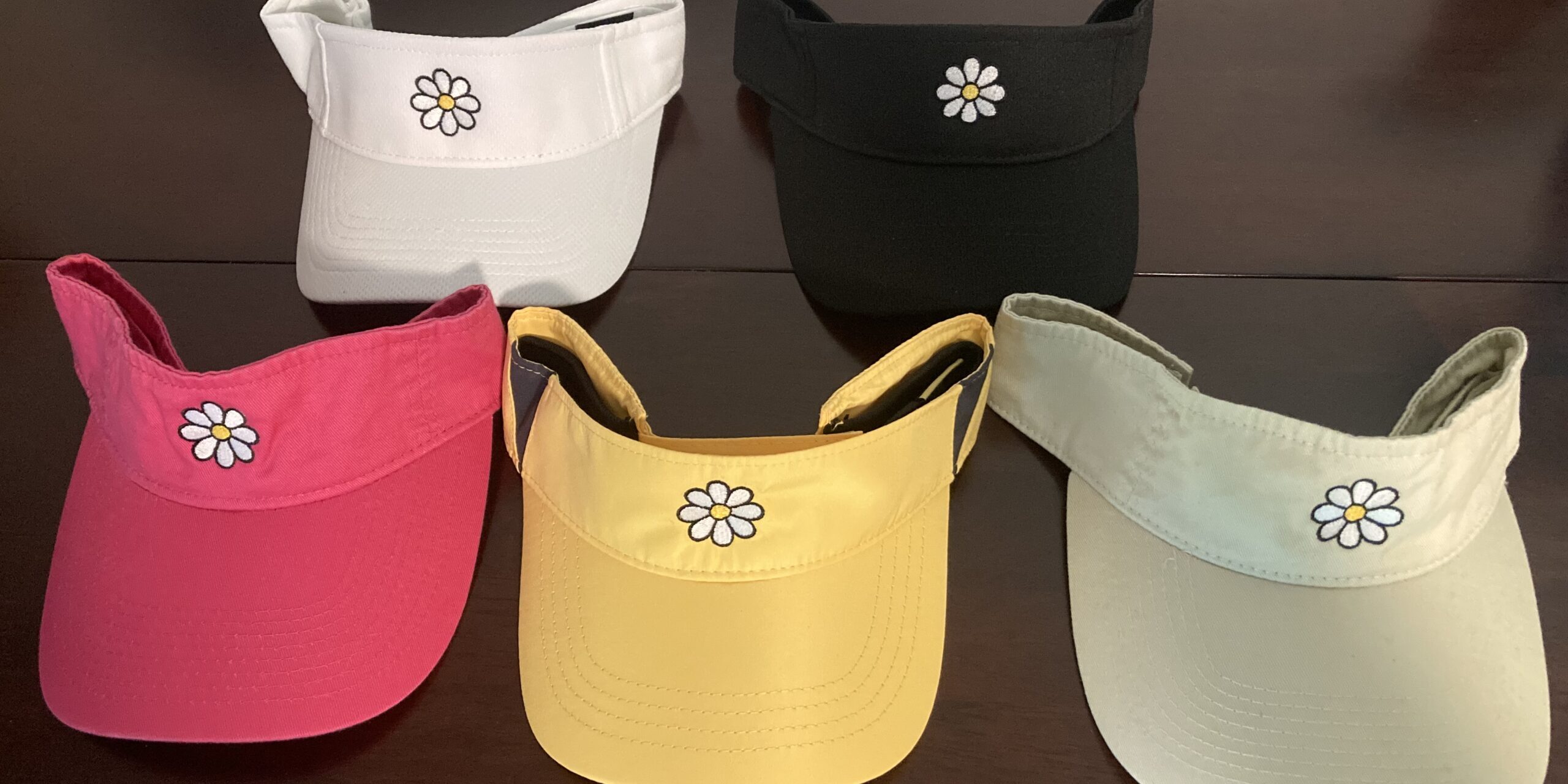 Visors