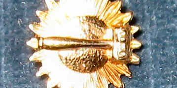 Official reciprocity chair's pin - solid 14K gold gavel on marguerite.
