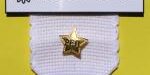 classified-namebadge-lg