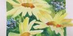 ne-ildaisies